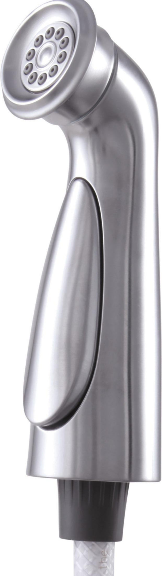 DELTA CASSIDY: SPRAY AND HOSE ASSEMBLY