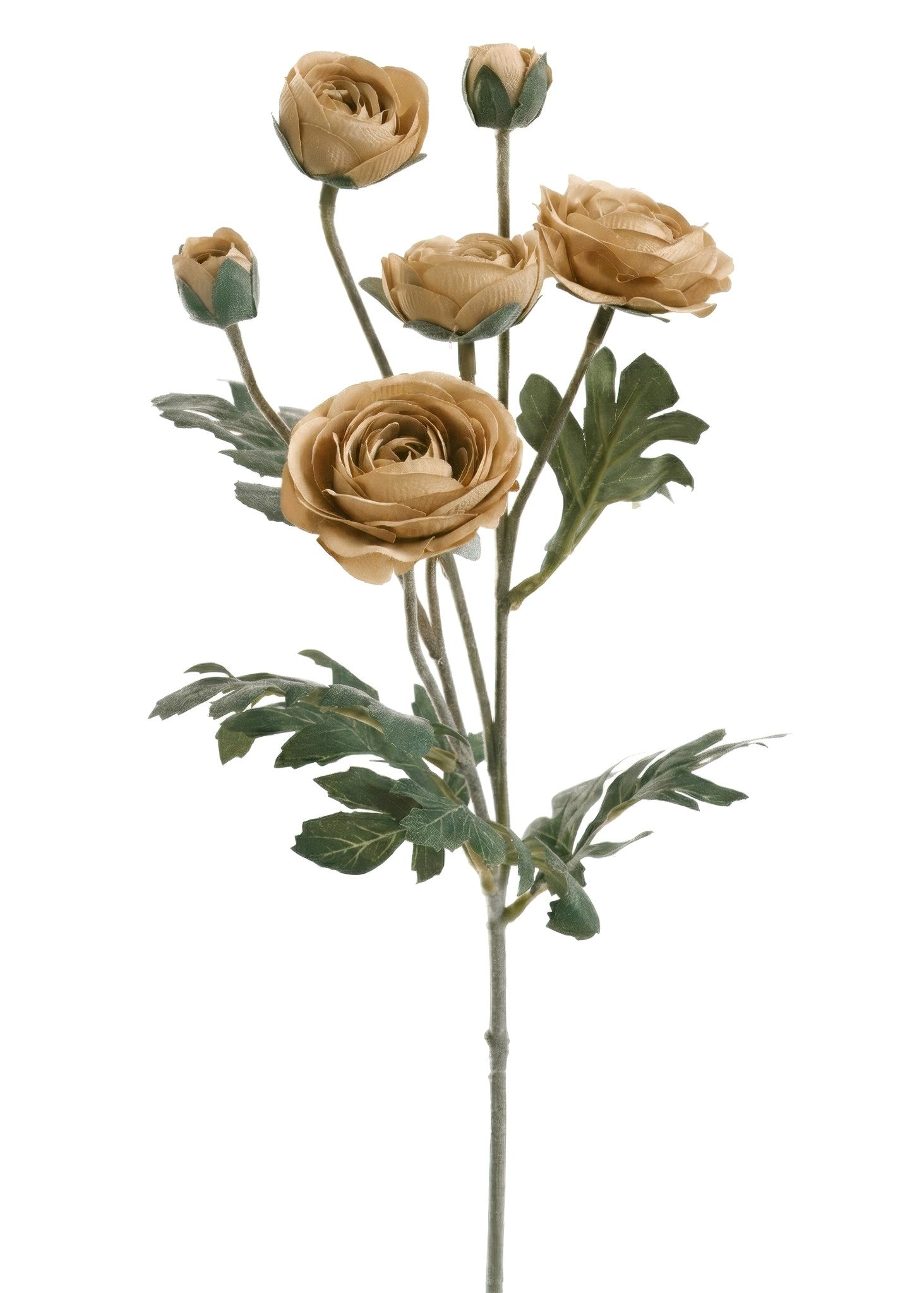 RANUNCULUS SPRAY FAUX FLOWER BEIGE 26"