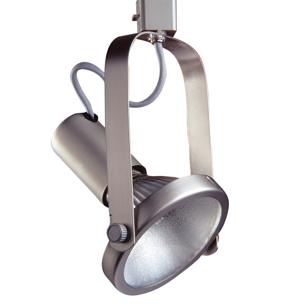 Line Voltage Gimbal track cylinder in a Black finish for use with Par 38 Lamps - BST