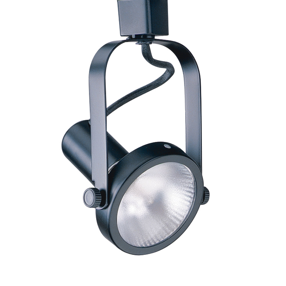 Line Voltage Gimbal track cylinder in a Black finish for use with Par 30 Lamps - BLK