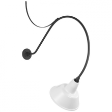 Load image into Gallery viewer, Academy 36" Anchored Larrabee Barn Light