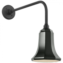 Load image into Gallery viewer, Academy 20" Rex Barn Light