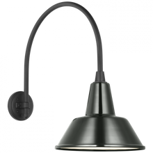 Load image into Gallery viewer, Academy 19.5" Arched Mack Barn Light