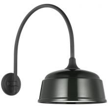 Load image into Gallery viewer, Academy 19.5" Arched Mack Barn Light