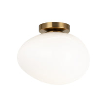 Load image into Gallery viewer, Melotte Wall Sconce/Ceiling Mount
