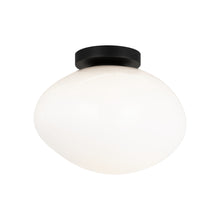 Load image into Gallery viewer, Melotte Wall Sconce/Ceiling Mount