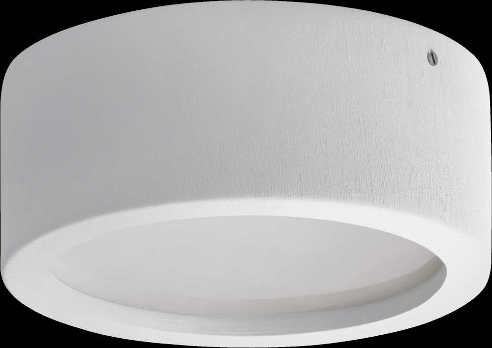 Ara Medium Ceiling Light