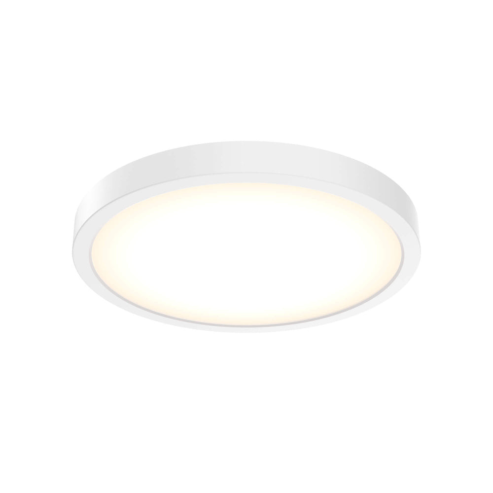 10 Inch Round Indoor/outdoor LED Flush Mount