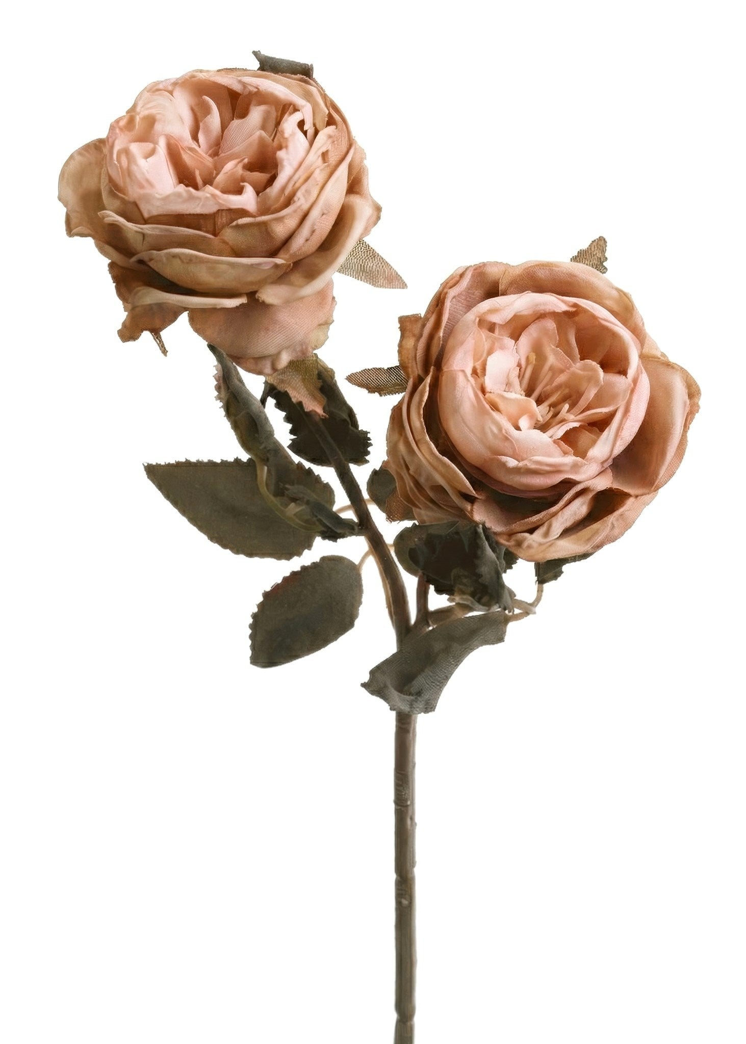 DRIED ROSE SPRAY PINK COFFEE 13"