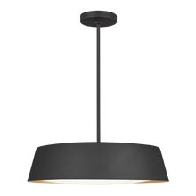 Load image into Gallery viewer, Asher Pendant - by Generation Lighting
