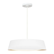 Load image into Gallery viewer, Asher Pendant - by Generation Lighting