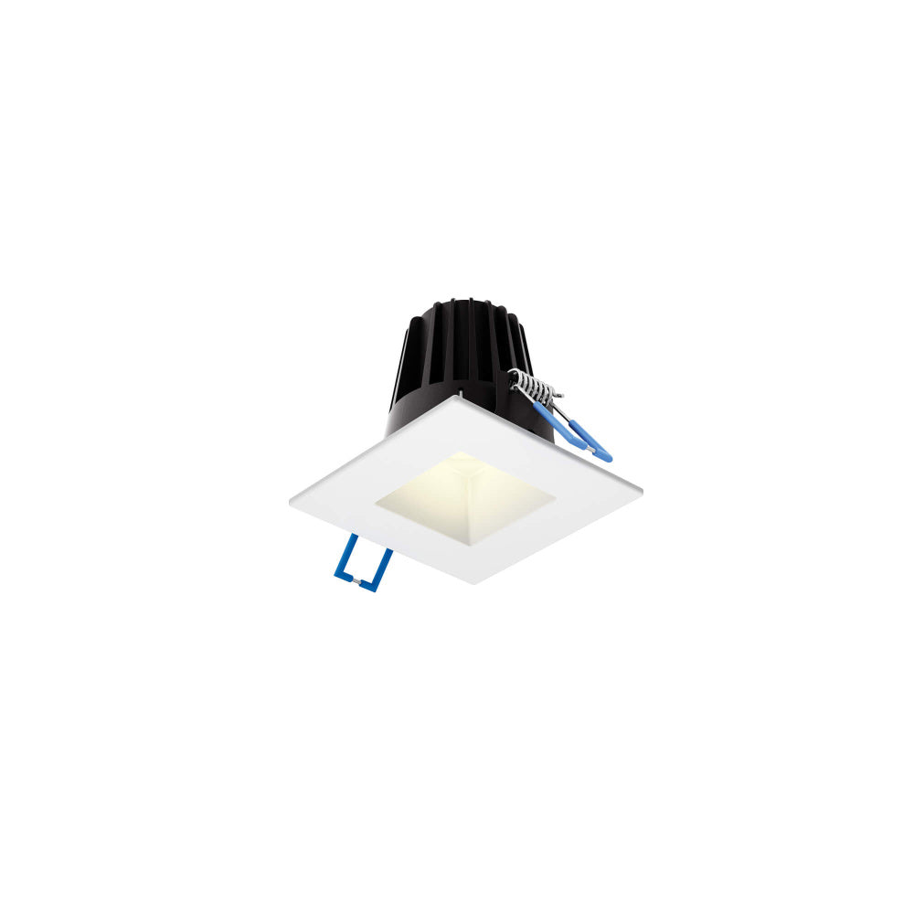 2 Inch Square Indoor/outdoor Regressed Down Light