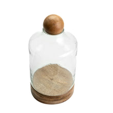 Load image into Gallery viewer, Grove ball terrarium L - by Rosha