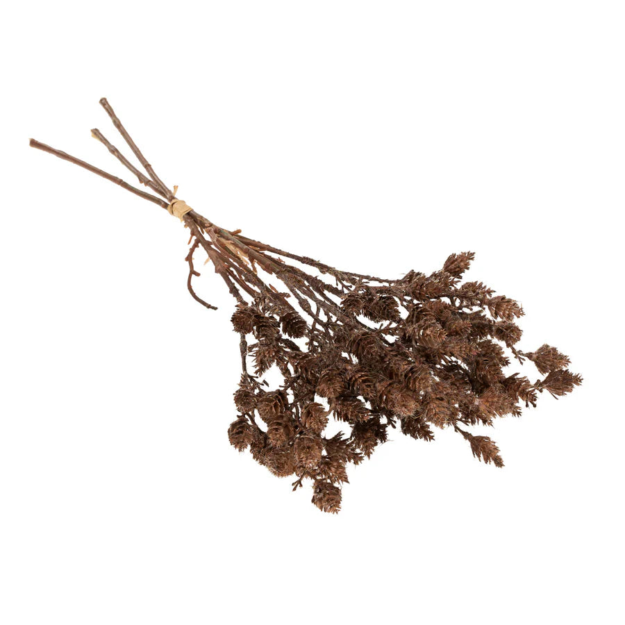 Wild Grass Bundle, Brown - by Indaba