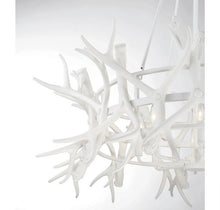 Load image into Gallery viewer, Daniels 8 Light Chandelier (2 Finishes)
