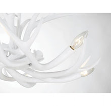 Load image into Gallery viewer, Daniel 6 Light Chandelier (2 Finishes)
