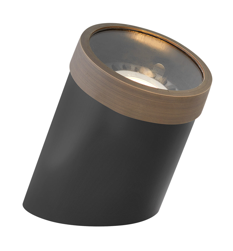 Par36 Reversible Well Light - Bronze