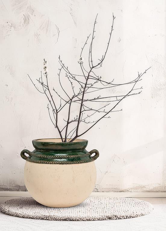 Planter with Coloured Rim (2 Sizes)