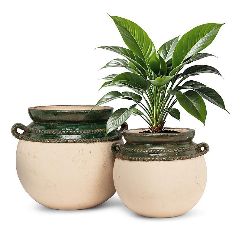 Planter with Coloured Rim (2 Sizes)
