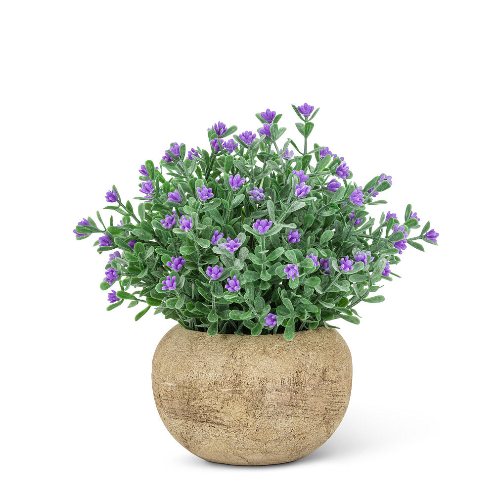 Small Flowering Plant Pot - by Abbott