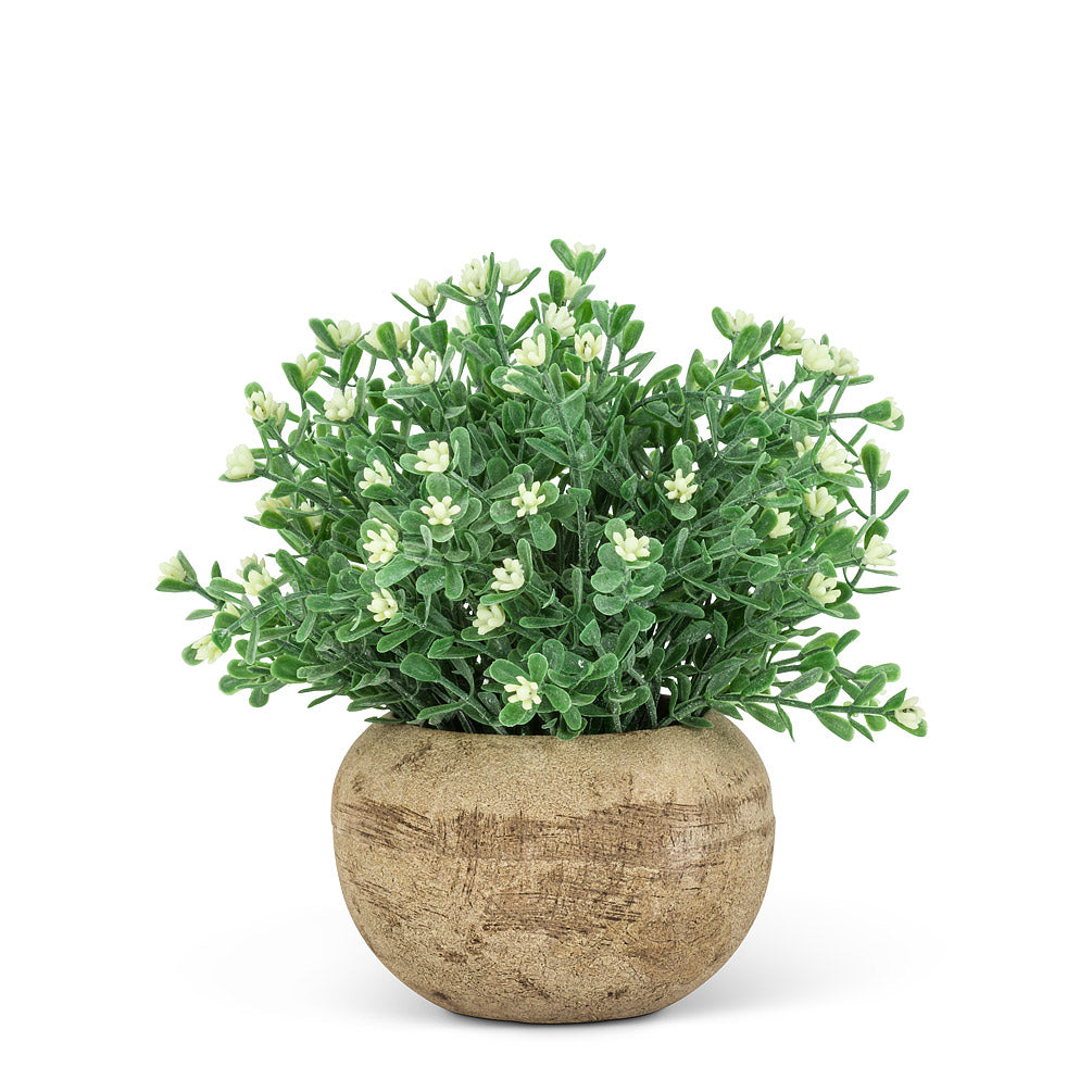 Small Flowering Plant Pot - by Abbott