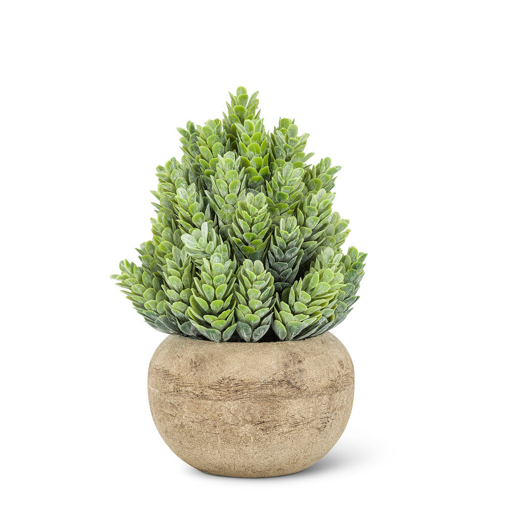 Small Cone Leaf Plant Pot - by Abbott