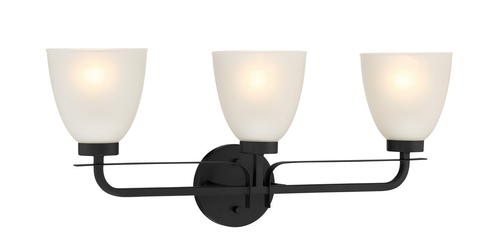 Bathroom Fixtures-Minka-Lavery-2883