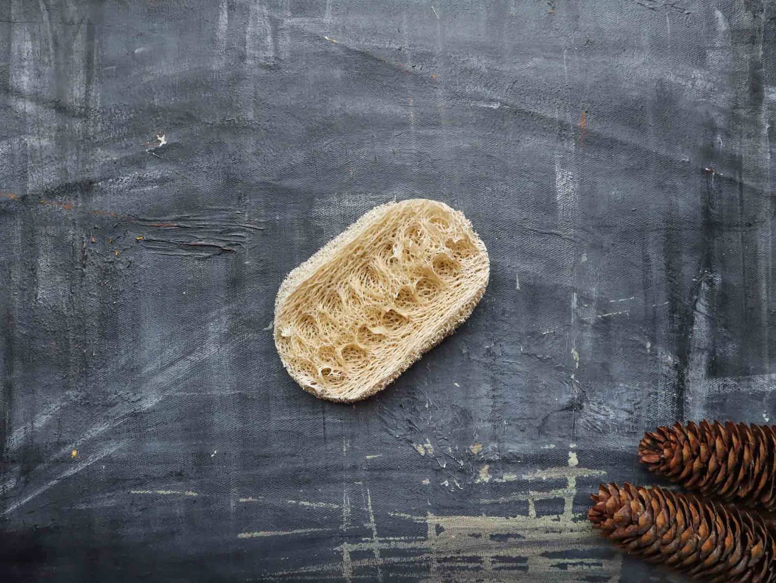 Loofah Dishwashing Sponge
