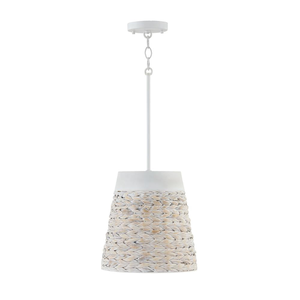 1 Light Pendant