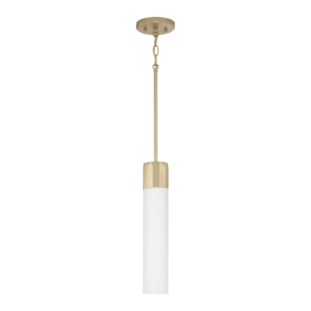1 Light Pendant