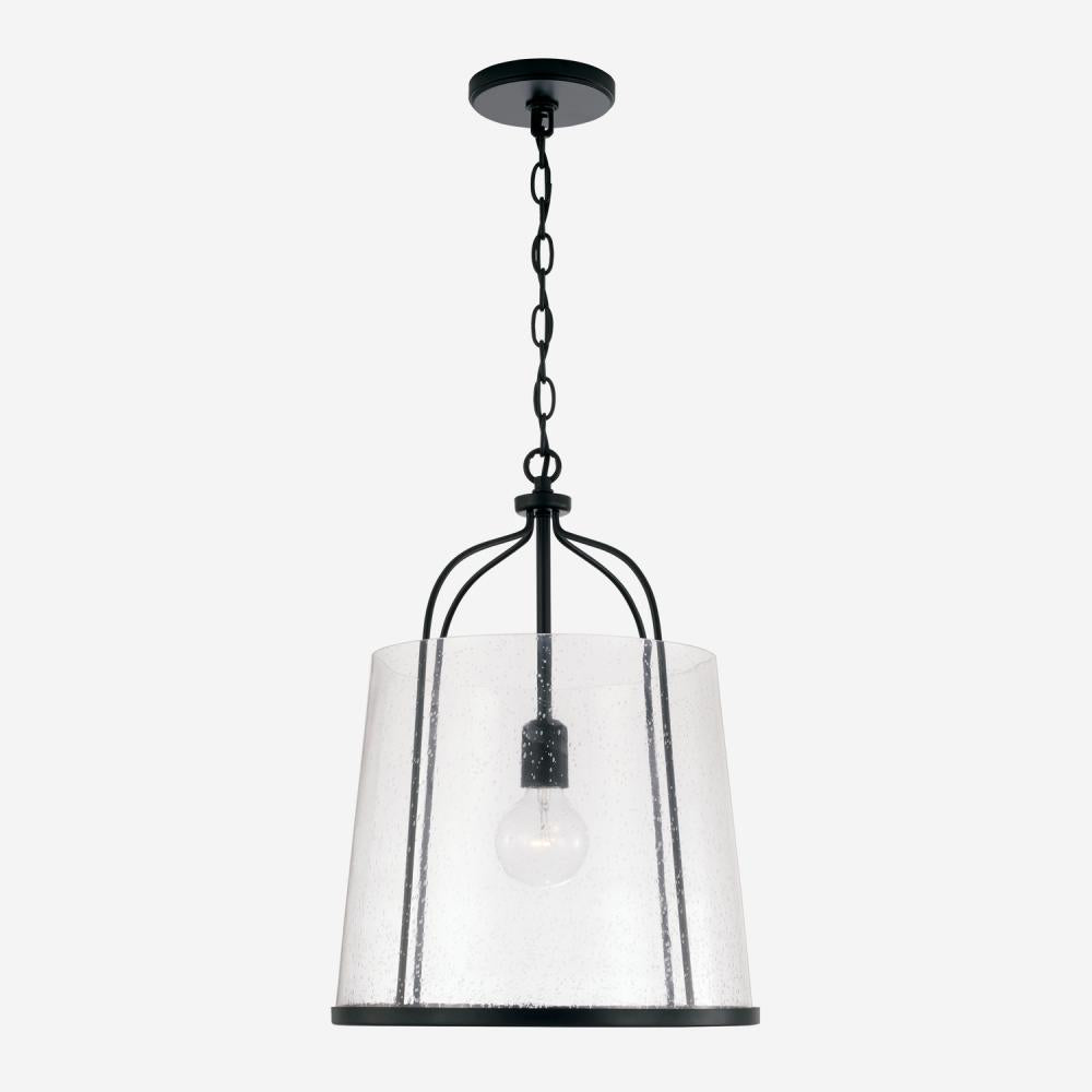 1 Light Pendant