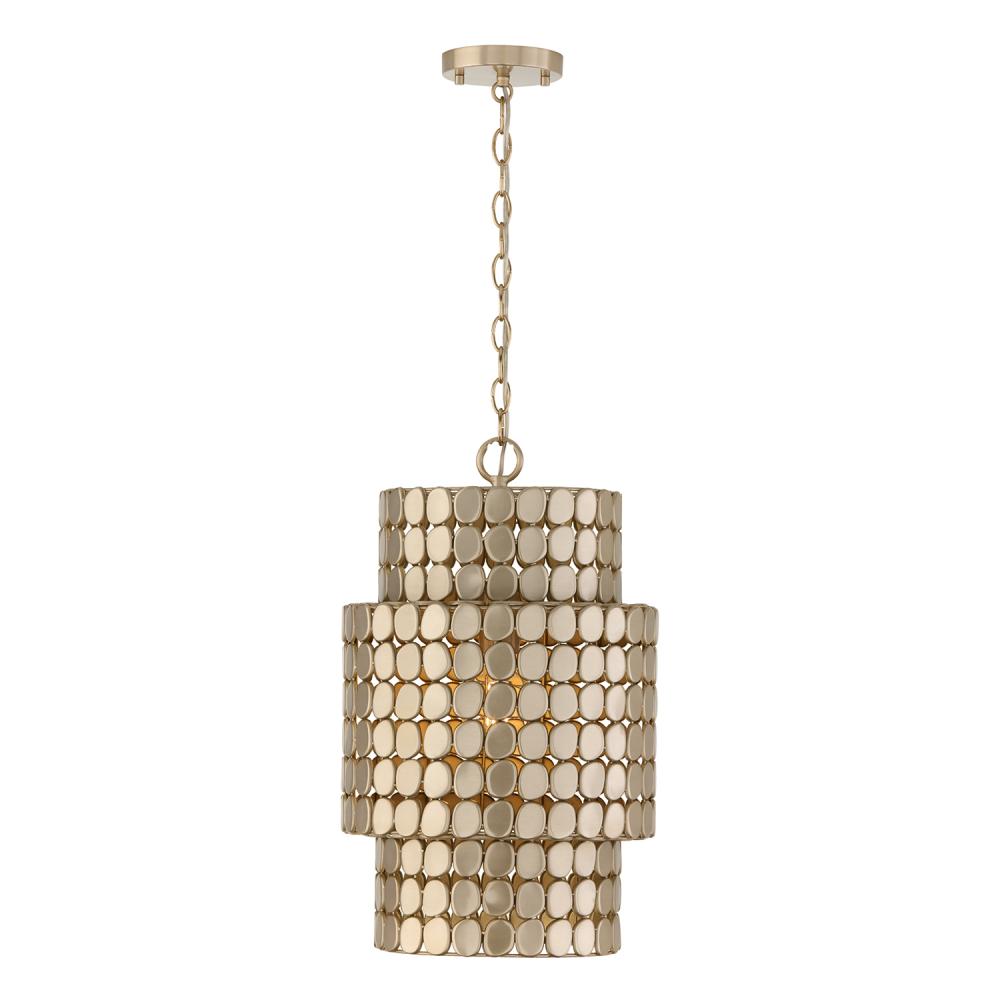 1-Light Medallion Cylindrical Pendant in Champagne Brass