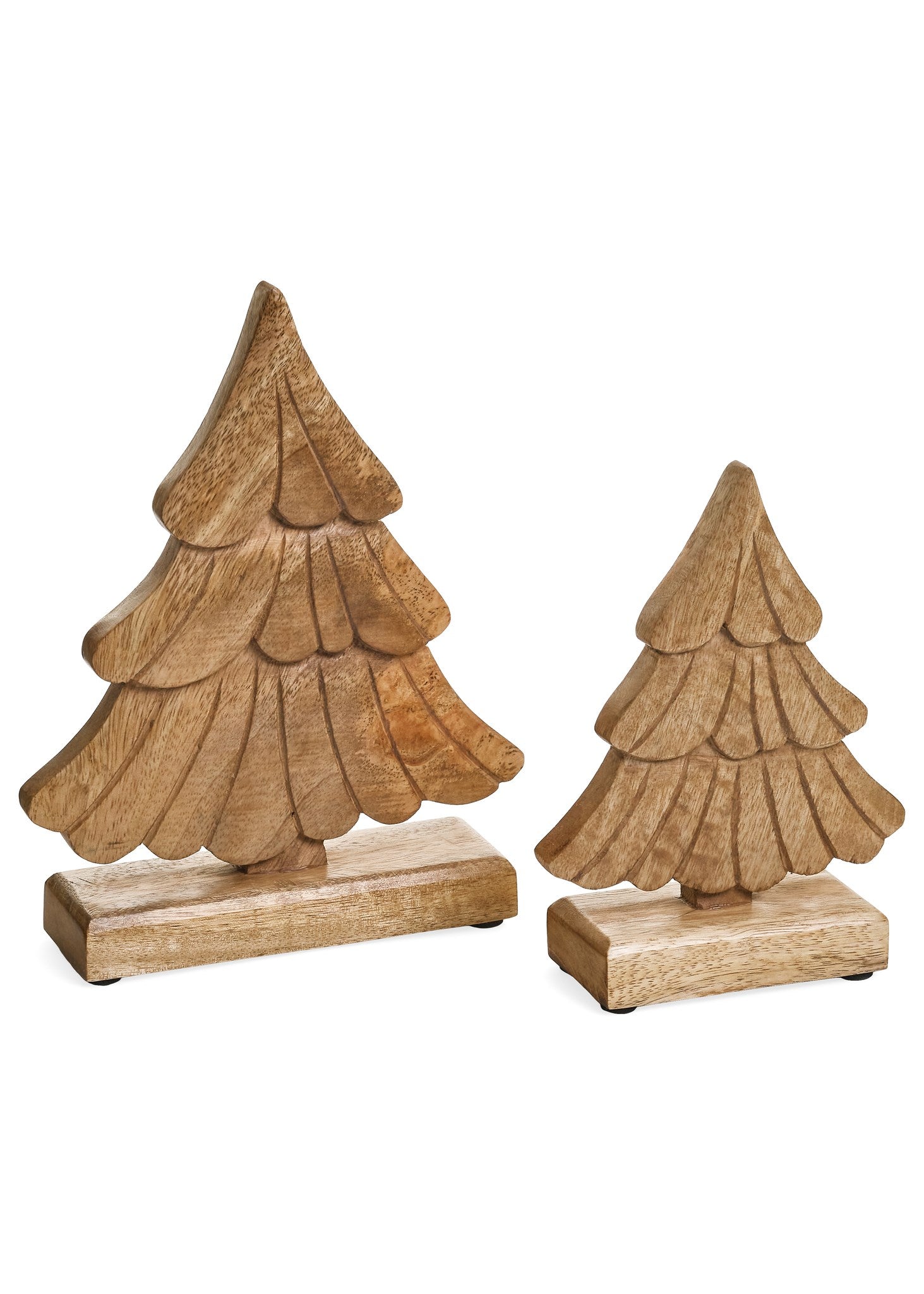Natural Mango Wood Tree (2 Sizes)