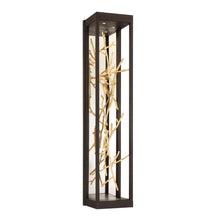 Load image into Gallery viewer, Aerie, 4LT LED Sconce, Brz/gold

