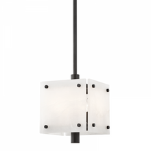 Load image into Gallery viewer, 4 LIGHT PENDANT
