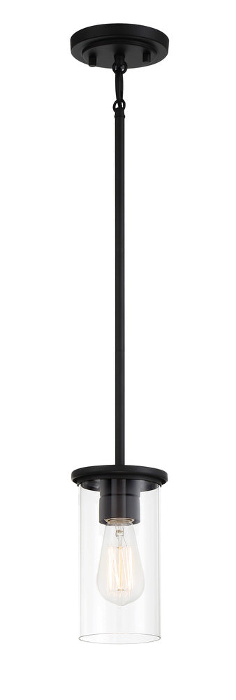 Haisley - 1 Light Pendant / Semi Flush