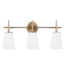 Load image into Gallery viewer, Driscoll Vanity - by Generation Lighting
