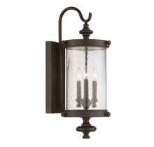 Load image into Gallery viewer, Palmer 9&quot; Exterior Sconce in Walnut Patina
