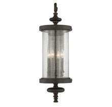 Load image into Gallery viewer, Palmer 9&quot; Exterior Sconce in Walnut Patina
