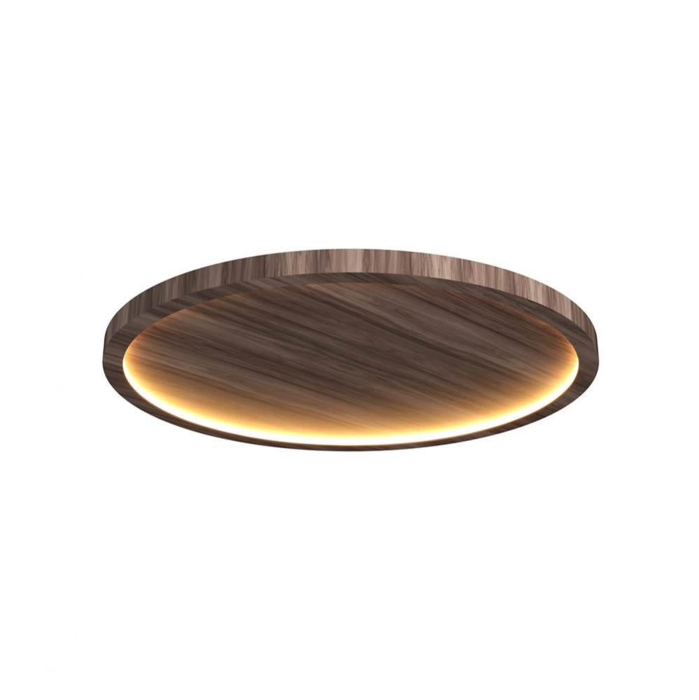 Nai??? Accord Ceiling 5095 LED
