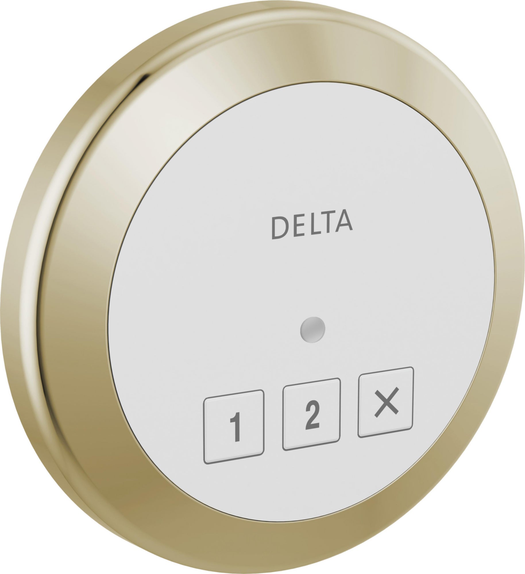 STEAMSCAPE ROUND EXTERIOR CON TROL POLISHED NICKEL