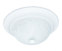 Load image into Gallery viewer, 2-Light Ceiling Light in Matte White
