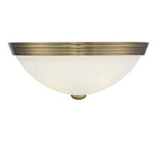 Load image into Gallery viewer, 2-Light Ceiling Light in Warm Brass
