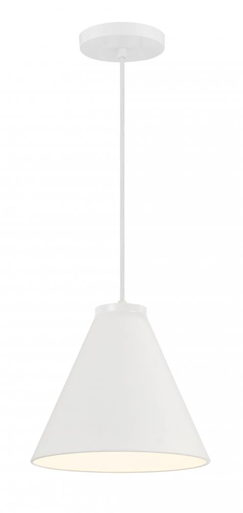 1 Light Pendant