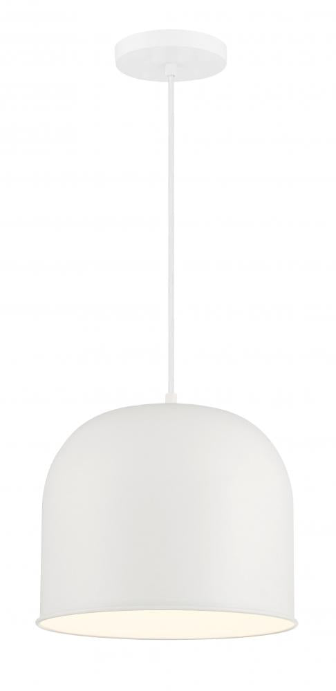 1 Light Pendant