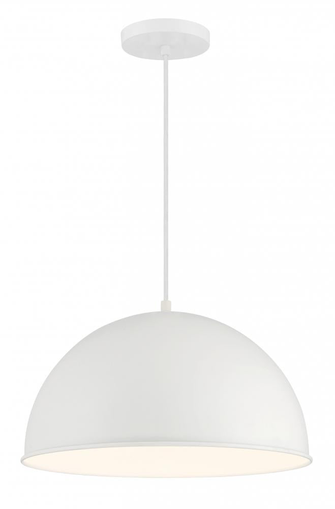 1 Light Pendant