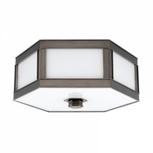 Load image into Gallery viewer, 2 LIGHT FLUSH MOUNT
