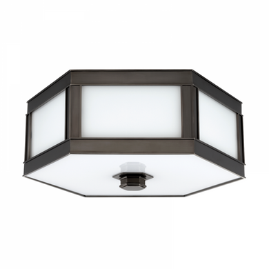 2 LIGHT FLUSH MOUNT