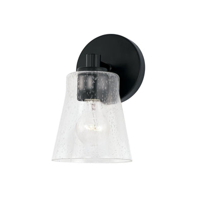 1 Light Sconce