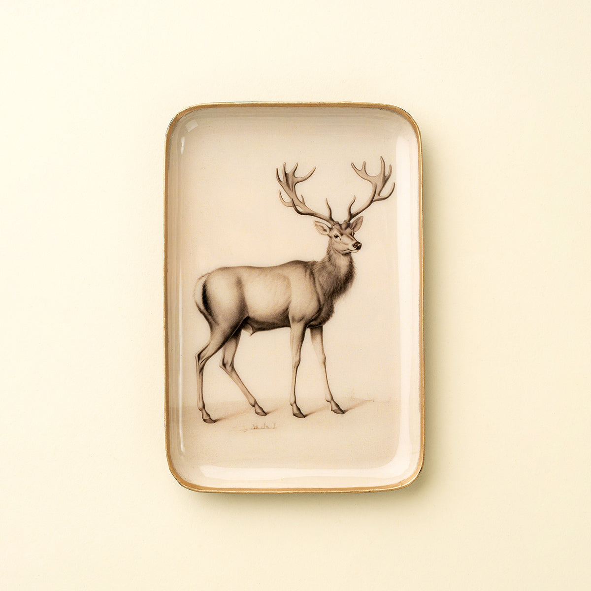 Enameled Tray (3 Options)